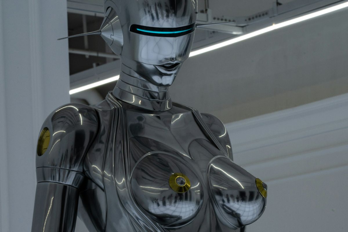 Robotics and Eroticism 3