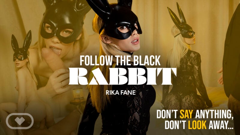 Follow the Black Rabbit